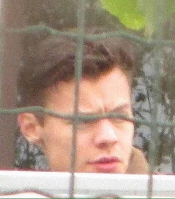 一世代 Harry Styles 短髮形象照曝光 除了帥還是帥!