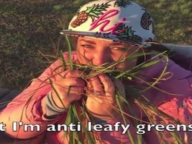 【減肥特輯】網友惡搞愛黛兒《Hello》 爆笑唱出所有節食者的痛苦!
