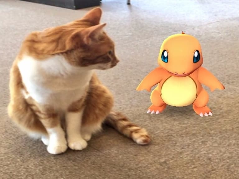 各國網友指證歷歷　家中的寵物居然能發現 Pokémon 的存在！