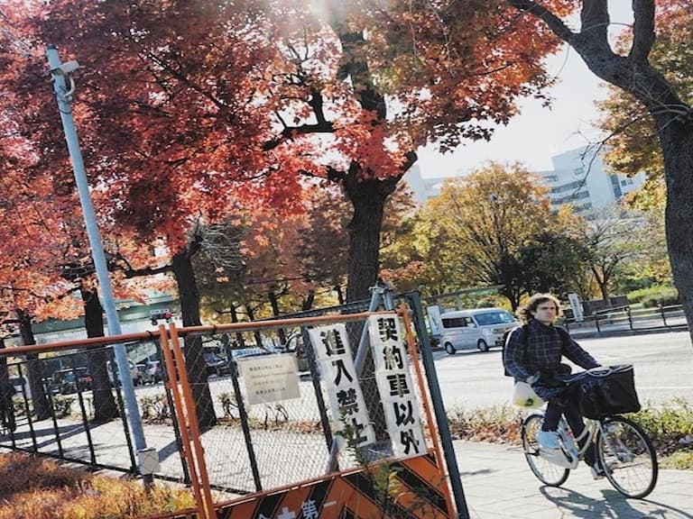 真實存在的 " 深紅 " 童話秘境！盤點 6 道日本秋天最美的風景線