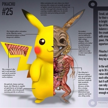 神奇寶貝解剖示意圖首次發佈：哇塞！它們的身體構造太酷了！
