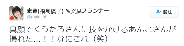 這兩隻貓咪標準「摔角姿勢」超爆笑　使出鎖頸招數讓網友瘋傳！