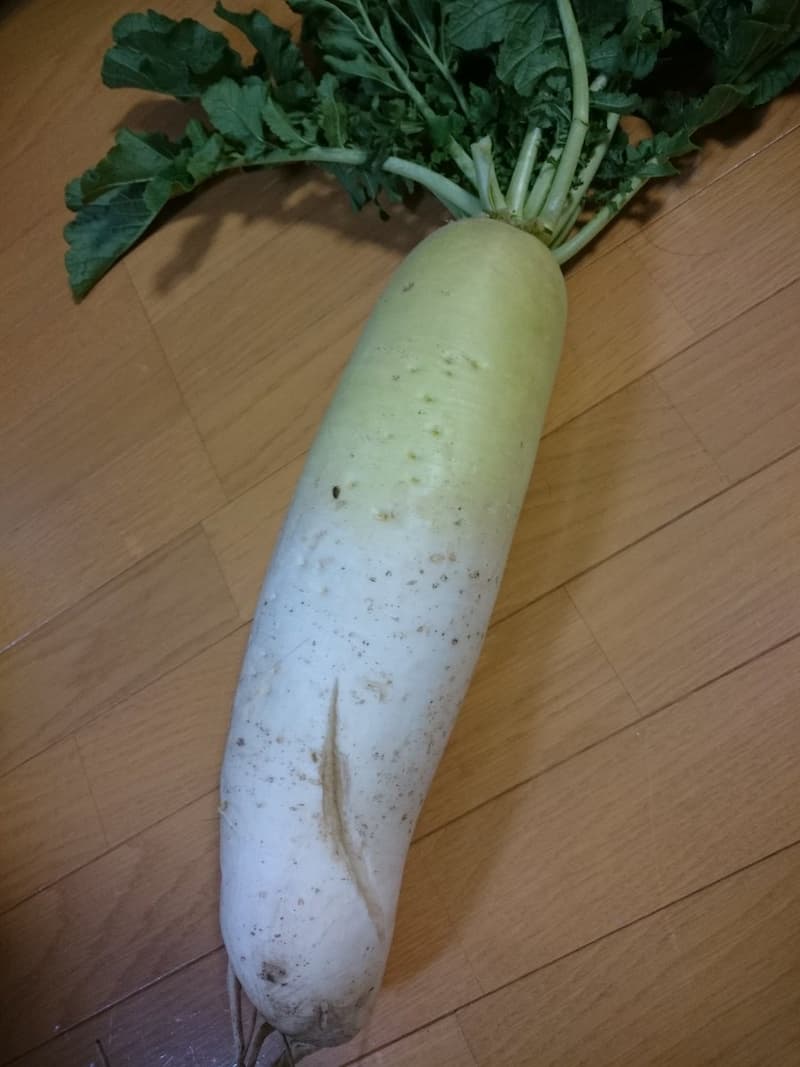 日本網友拿 大根 實驗美肌app 證明這年頭已經不能相信照片了 Juksy 街星