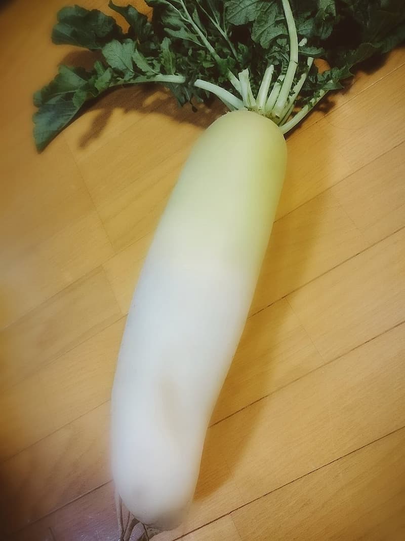 日本網友拿 大根 實驗美肌app 證明這年頭已經不能相信照片了 Juksy 街星