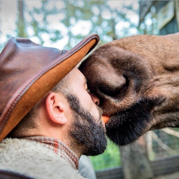 野外探險主持人首度嘗試與駝鹿「熱吻」　滋味意外還不錯？