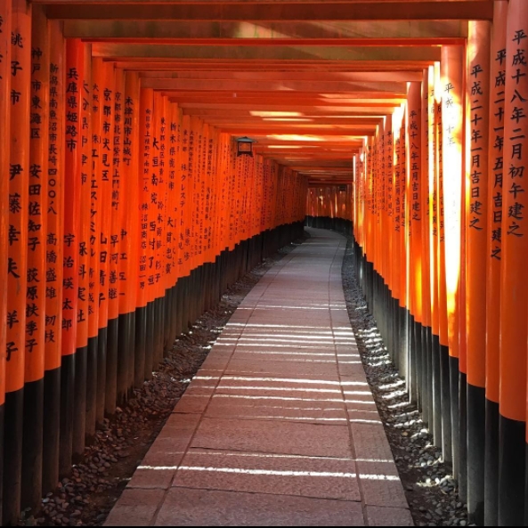 日本旅遊必朝聖的景點，絕美的壯觀「鳥居」你去過了嗎？