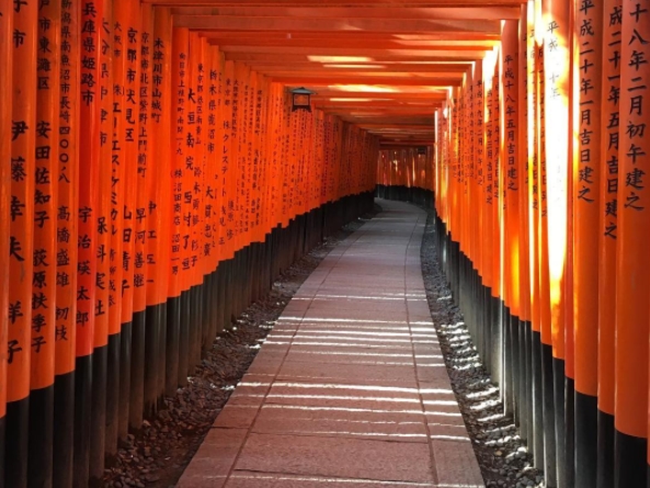 日本旅遊必朝聖的景點，絕美的壯觀「鳥居」你去過了嗎？