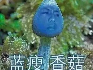 王大陸其實沒有口誤？大數據分析原來他帶來這麼多的大，平，台！