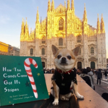 最幸福的「旅遊寵物」！Instagram上的名寵比你去過更多國家