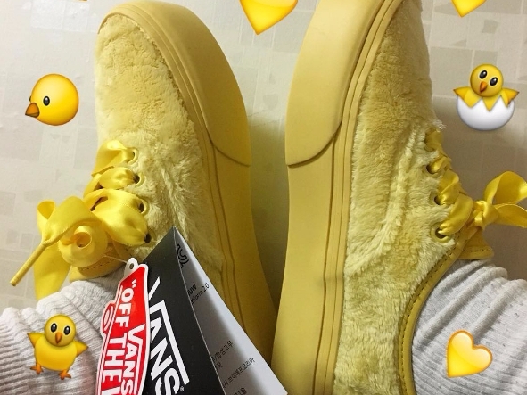 Vans 2017 新作曝光！「 4 個經典鞋款」竟以「雞年」為主題？