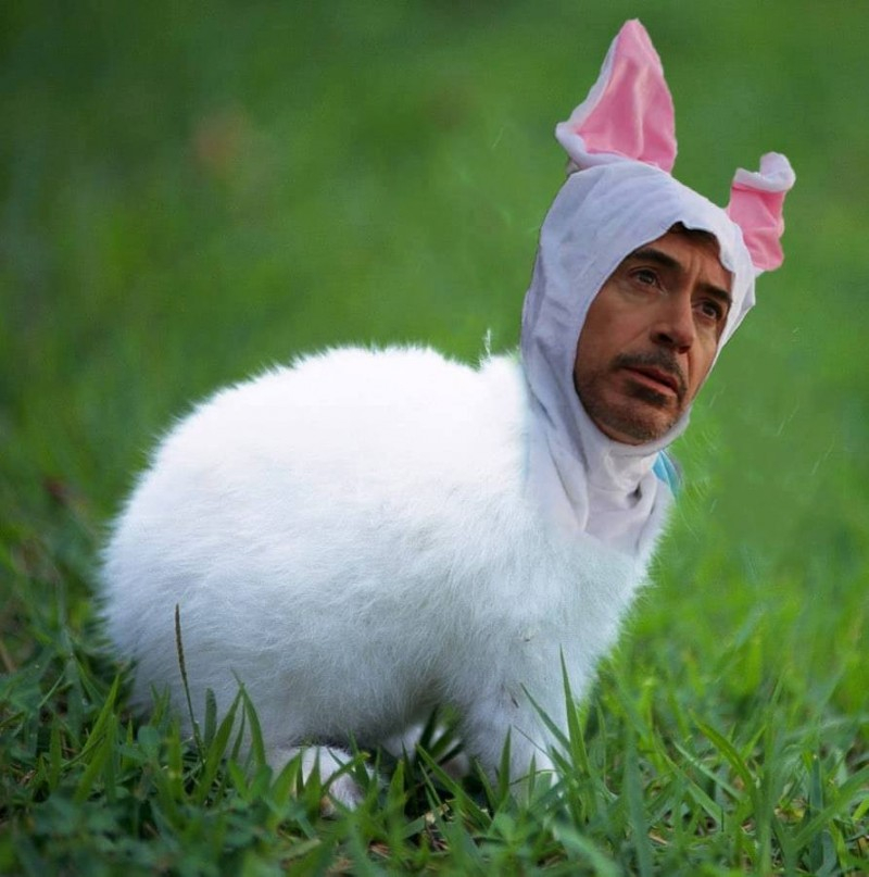 小勞勃道尼兔子裝爆紅　網友又發揮 PS 魂惡搞！