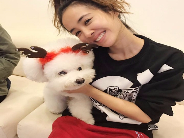 Jolin性感開衩裙美翻！愛狗「屋虎」化身馴鹿相伴過聖誕