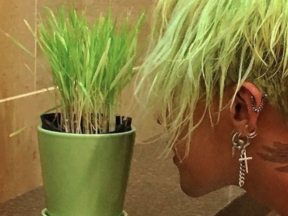 2017最夯的顏色就是它！「Greenery」怎麼搭都超時尚有型啊！