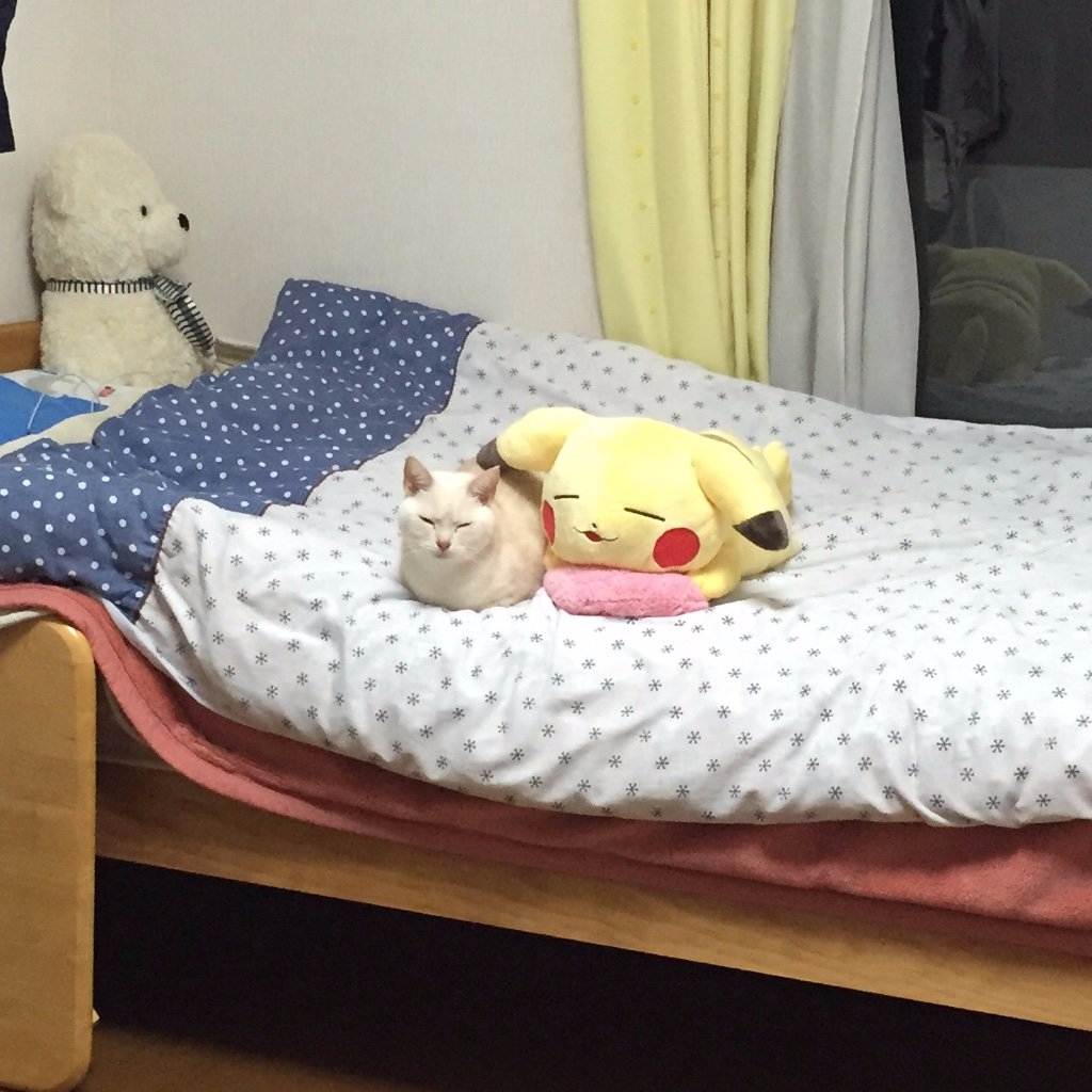 幫喵星人買一個同表情的玩偶　一起瞇眼睛的畫面實在太療癒！