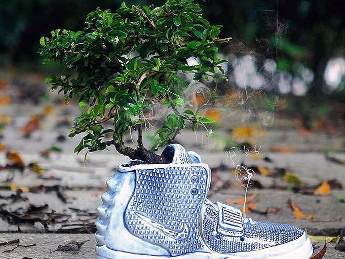 球鞋藝術再升級！YEEZY 造型的陶瓷盆栽你肯定沒見過