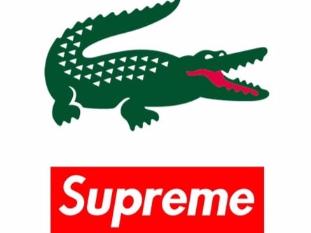 繼 LV 之後，下一個至尊聯名竟是「Supreme x 鱷魚！？」據說發售日期就在....