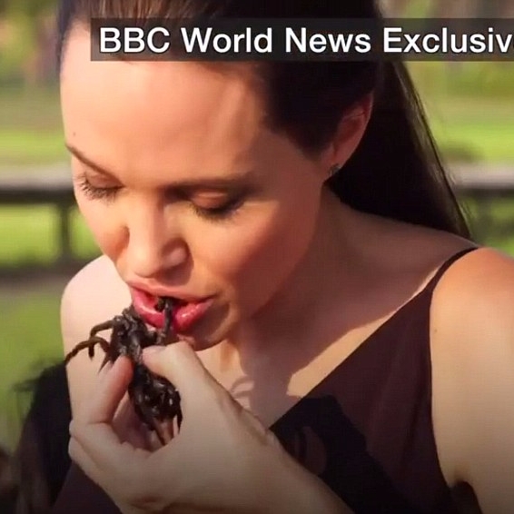 崇尚自然！安潔莉娜裘莉首度開口談離婚　鏡頭前咬下蜘蛛和蠍子當零食！