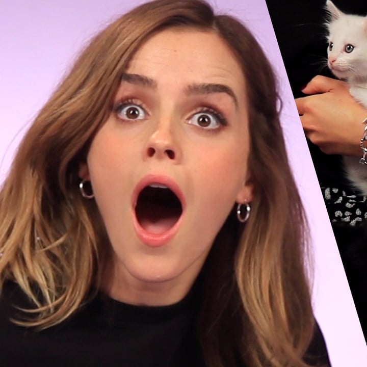 貝兒與野獸結婚之後會怎麼樣？艾瑪華森給出「這樣」的童話故事答案！