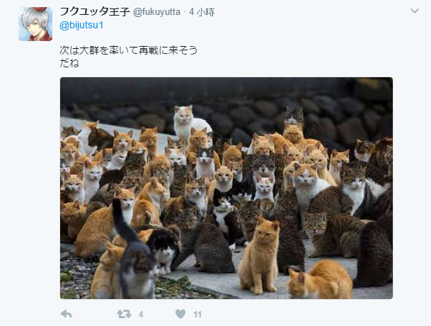 爆笑！日本貓咪想要參觀藝術展　不斷被保全大叔擋下後一臉哀怨站在門口...
