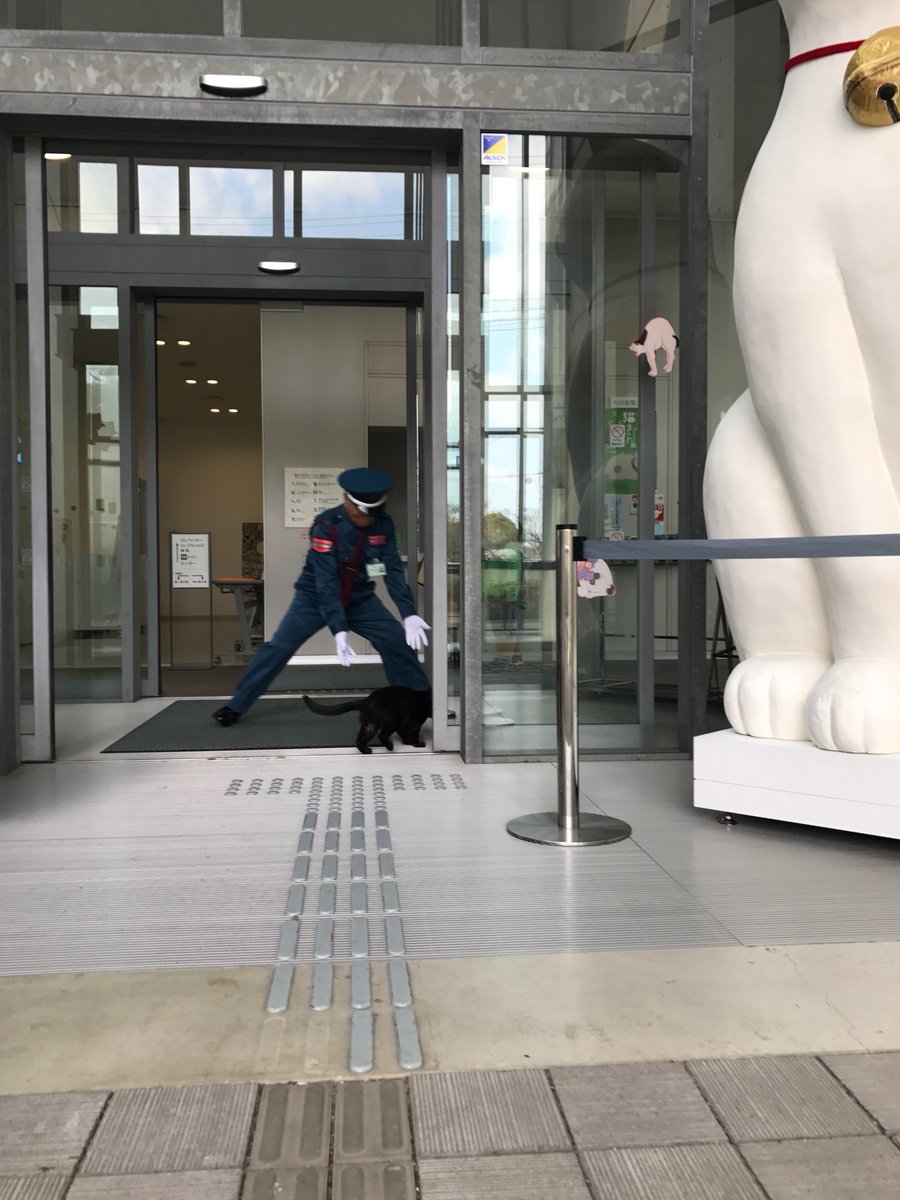 爆笑！日本貓咪想要參觀藝術展　不斷被保全大叔擋下後一臉哀怨站在門口...