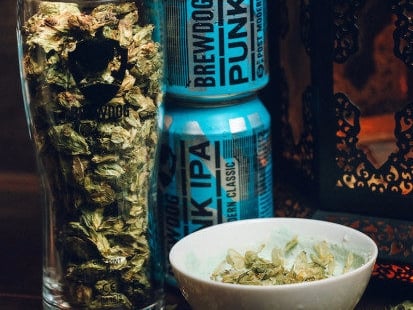 啤酒控必看　愛啤酒的你必住的這一間旅店！