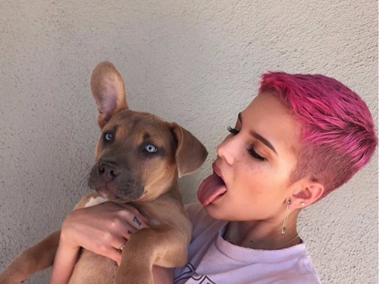 Halsey 全新「初戀粉色系」髮色登台開唱，網友對歌聲似乎不太買單？！