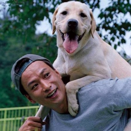 #POPBEE 專題：狗狗是你最佳老友嗎？自問愛狗的你，絕不可以不看這 5 部以牠們作題材的電影！