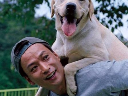 #POPBEE 專題：狗狗是你最佳老友嗎？自問愛狗的你，絕不可以不看這 5 部以牠們作題材的電影！