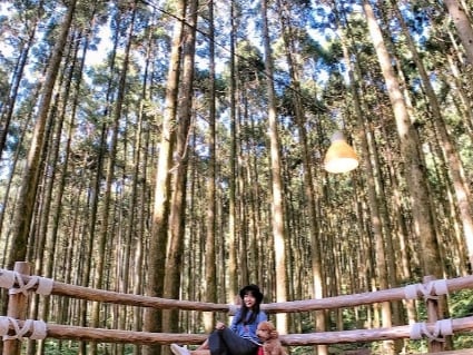 必筆記！《新竹絕美5仙境》張開雙手直接擁抱整座山林，超療癒彷彿置身天堂～