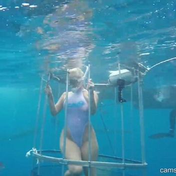 別去惹牠們！女模下海挑戰「鐵籠誘餌」驚險任務　沒幾秒鐘就被鯊魚狠咬一口！