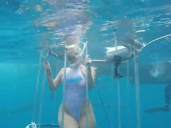 別去惹牠們！女模下海挑戰「鐵籠誘餌」驚險任務　沒幾秒鐘就被鯊魚狠咬一口！