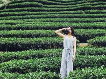 回甘就像現泡!特搜《全台4個療癒茶園》,群山環繞超幽靜~原來御茶園廣告拍攝地在這裡!