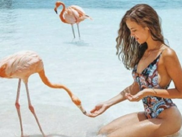今季最多 Like 的時尚照片，不能缺少一隻 Flamingo！