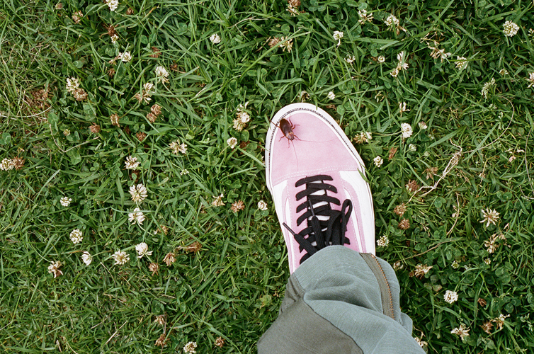 Stüssy X Vans 加州風情極致釋放，今夏最西岸的聯乘就在 6/23 Stüssy Taipei