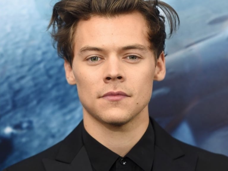 Harry Styles終於承認了！“我有四個奶頭…..”