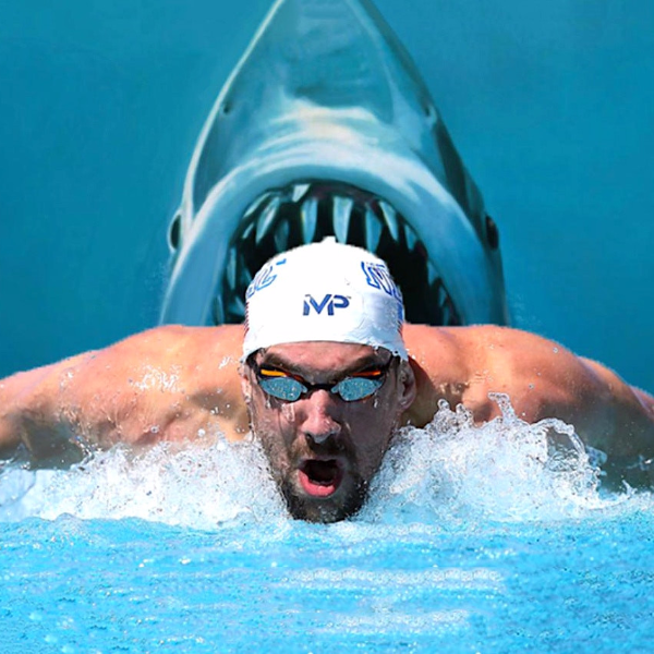 Michael Phelps vs. Great White「人鯊百米大戰」正式上演！
