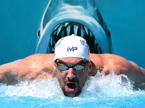 Michael Phelps vs. Great White「人鯊百米大戰」正式上演！