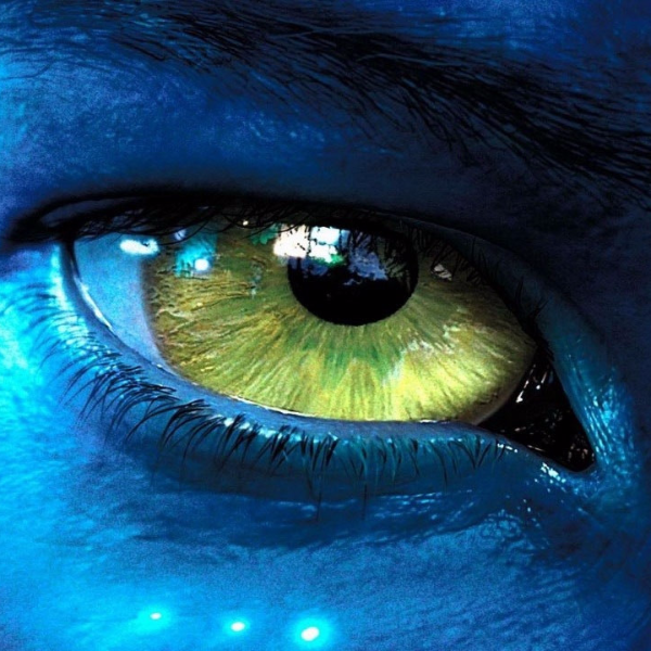 史上首部裸眼 3D 電影！《Avatar 2》將於九月下旬正式開拍