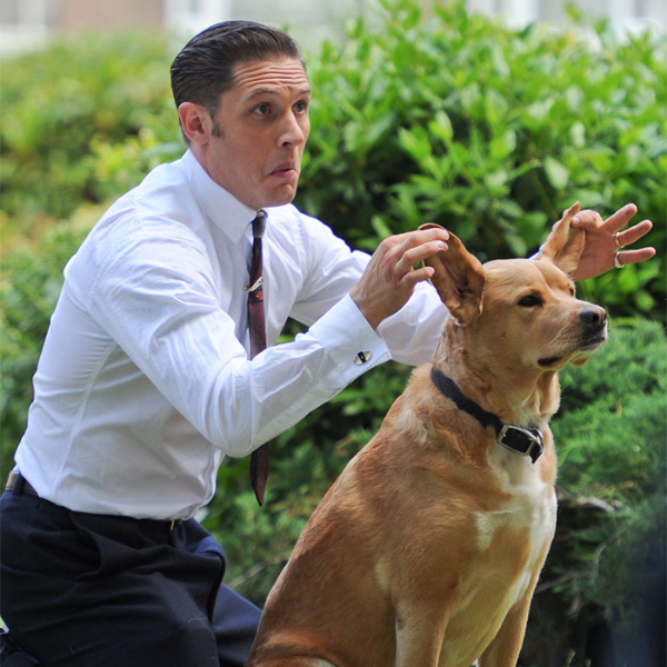 愛狗的男人超有魅力！「好萊塢硬漢」湯姆哈迪跟狗狗可愛互動畫面　絕對能融化你的心！