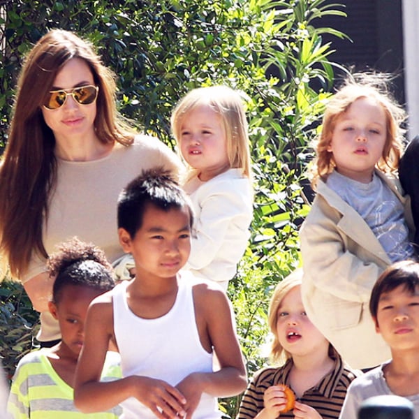 不是說會取消離婚嗎？Angelina Jolie 逐漸走出情傷，她唯一的擇偶條件是⋯⋯？