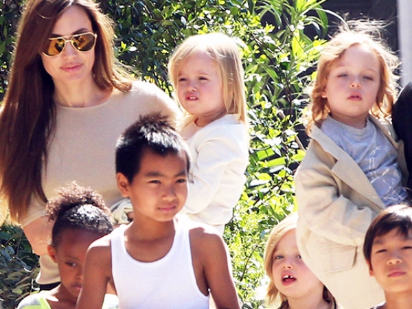 不是說會取消離婚嗎？Angelina Jolie 逐漸走出情傷，她唯一的擇偶條件是⋯⋯？