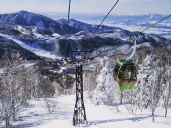 制霸日本滑雪場．菜鳥輕鬆上手！日本絕美雪景即將攻佔IG，去過的網友一次就上癮！