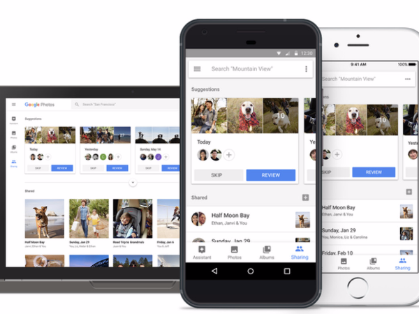 iPhone X 有臉部辨識不稀奇？Google Photos 推出寵物臉部辨識功能！