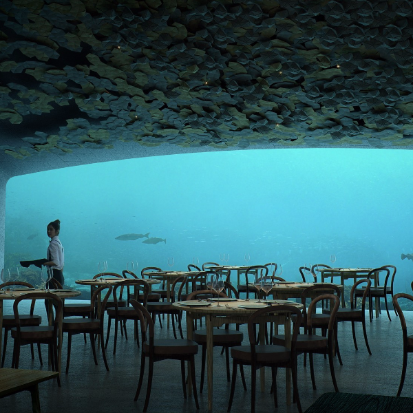 傾斜插入海中貌似「荒廢遺跡」 挪威打造全景海底餐廳成為海洋生物的最愛