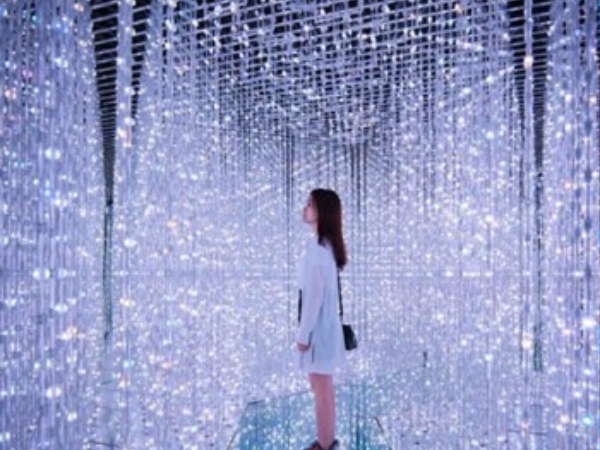 「teamLab：舞動藝術展&未來遊樂園」將於澳門展出，更新增聖誕節特別主題！