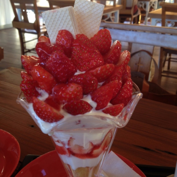草莓控看過來！日本「草莓之里」甜點種類超多　旅遊一次嚐遍大呼過癮！