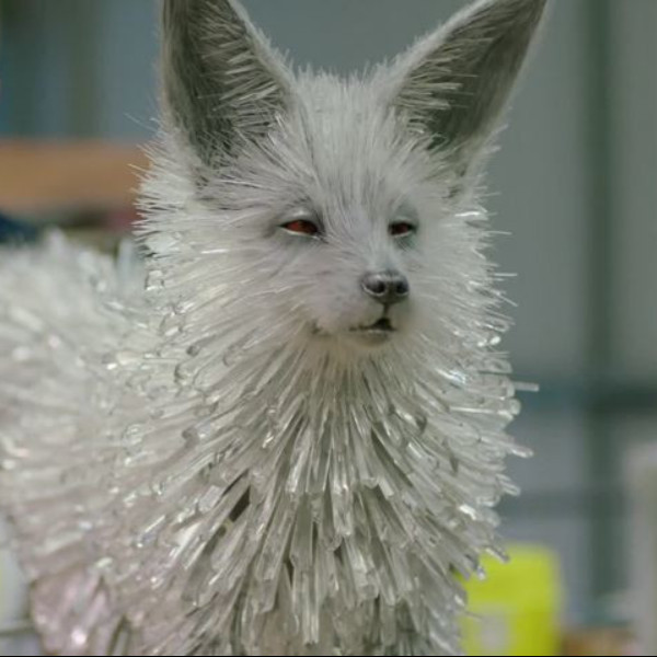 超可愛！《星際大戰 8》水晶狐狸可不是特效　竟是由 2.5 萬晶體費工造出實體！