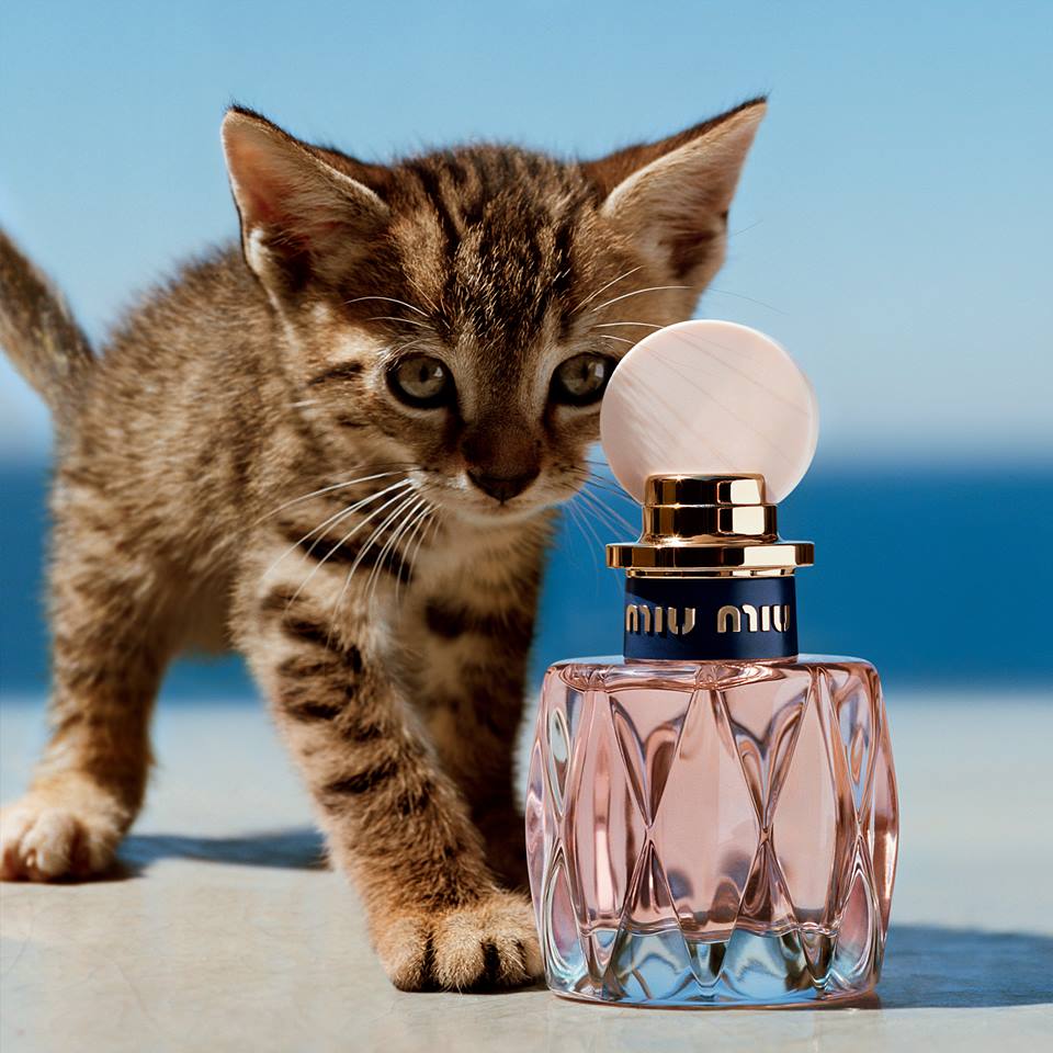 再添新成員!MIU MIU 2018 春季推出「L'eau Rosée 粉色嬉遊淡香水」淘氣上市!