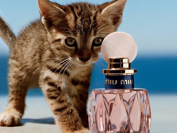 再添新成員！MIU MIU 2018 春季推出「L'eau Rosée 粉色嬉遊淡香水」淘氣上市！