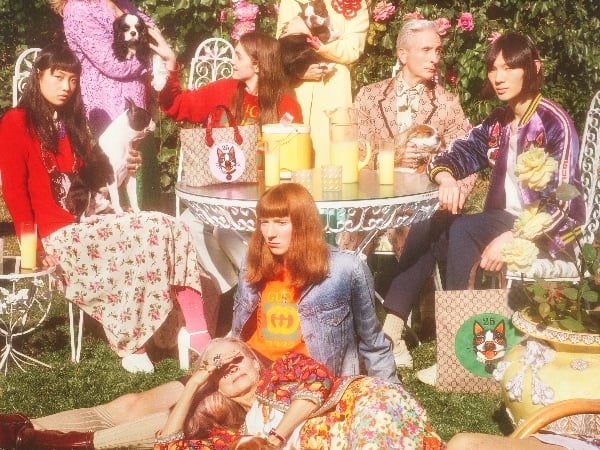 〔完售oops〕最「寵」限定！Gucci 創意總監 Alessandro Michele  為他的兩隻波斯頓愛犬 推出系列商品